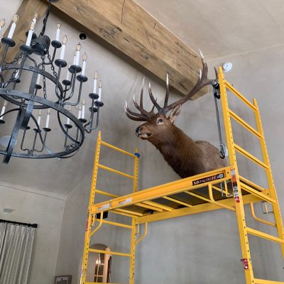 General-Mounting-elk-VIztech